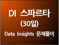 DI 스파르타 (30일)